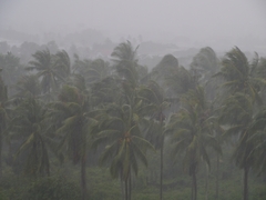 Monsun - Thailand